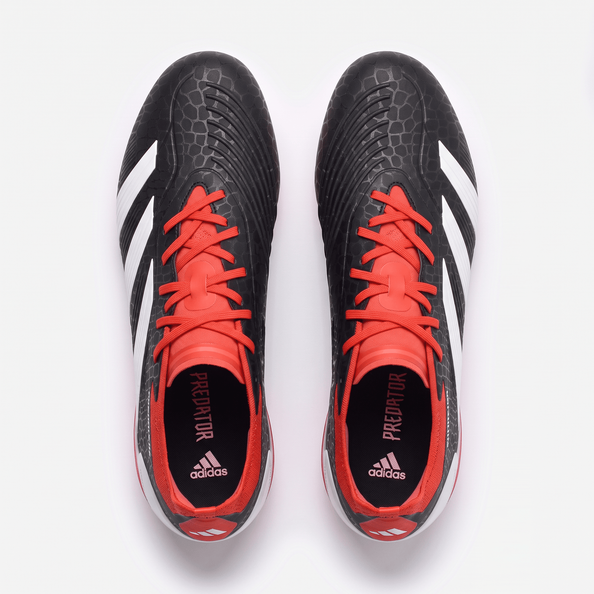 Predator 24 FG Black / White / Solar Red