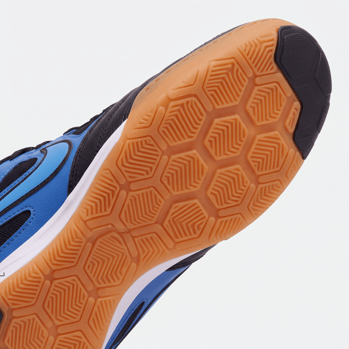 Gato Black Gum Black / Royal Blue / Gum Light Brown